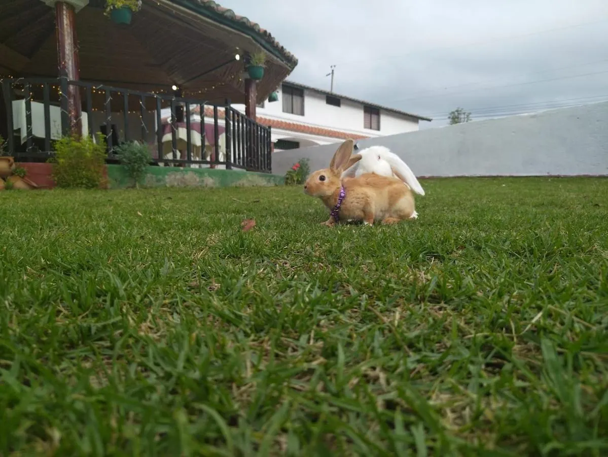 Hotel Quinta Winay Yaruqui Ecuador